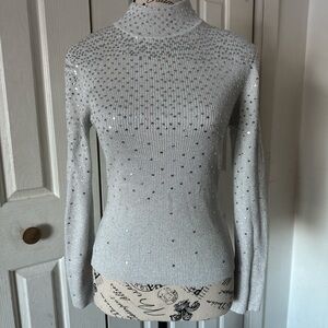 Hampshire Studio Sparkling Silver Turtleneck